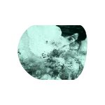 Concept – Urn – Organic Marbled
