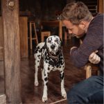 Buddy_Image_Dalmatian